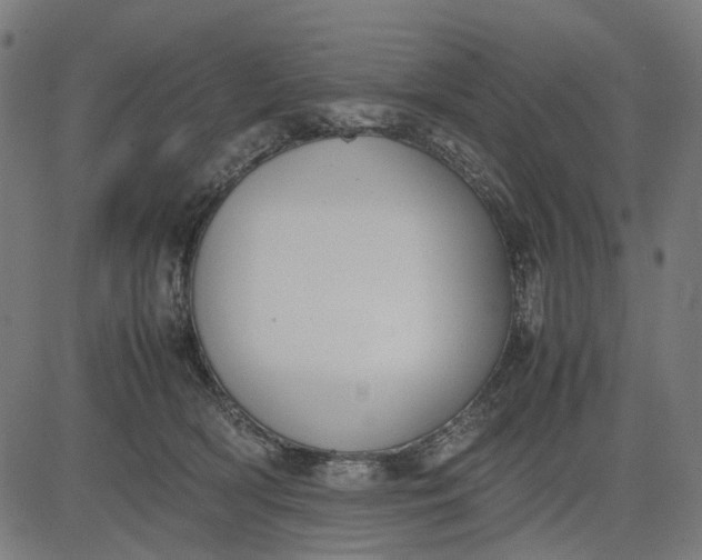 X0000082700418200702091727