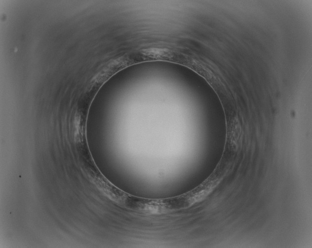 X0000082700420200702091727