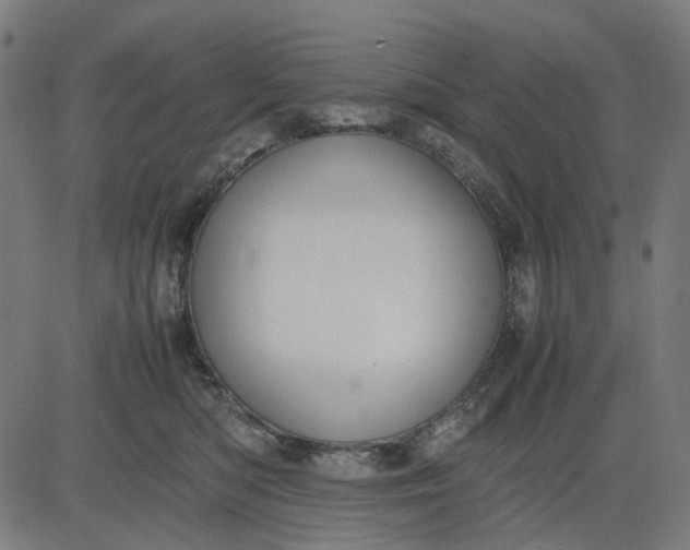 X0000082700422200702091727