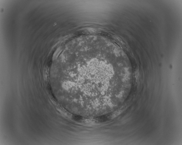 X0000082700423200702091727