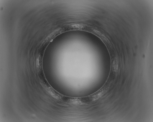 X0000082700424200702091727