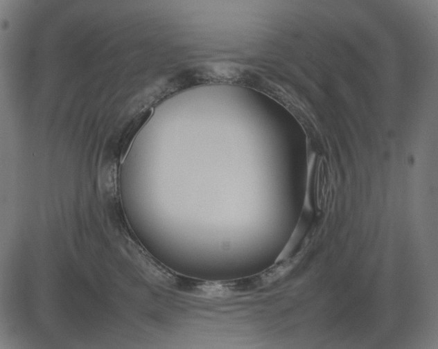 X0000082700425200702091727