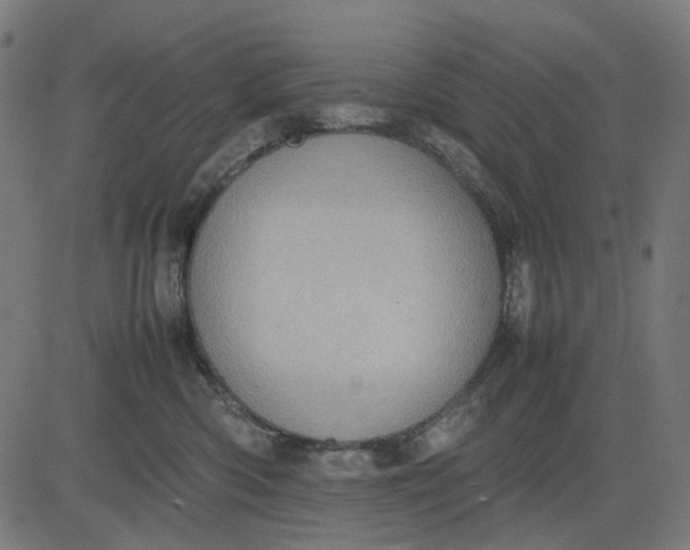 X0000082700426200702091727