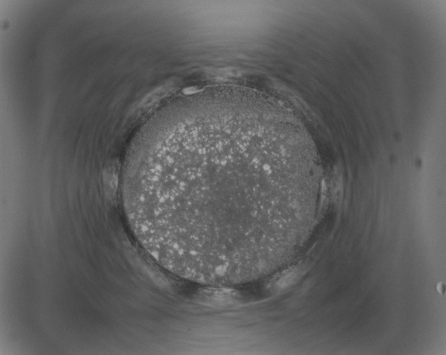 X0000082700427200702091727