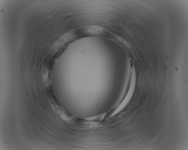 X0000082700428200702091727