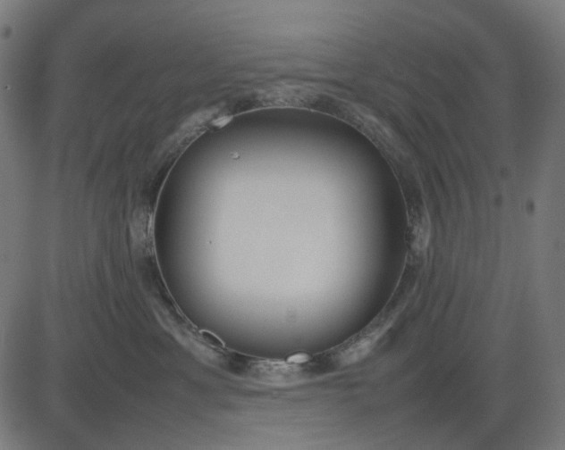 X0000082700429200702091727