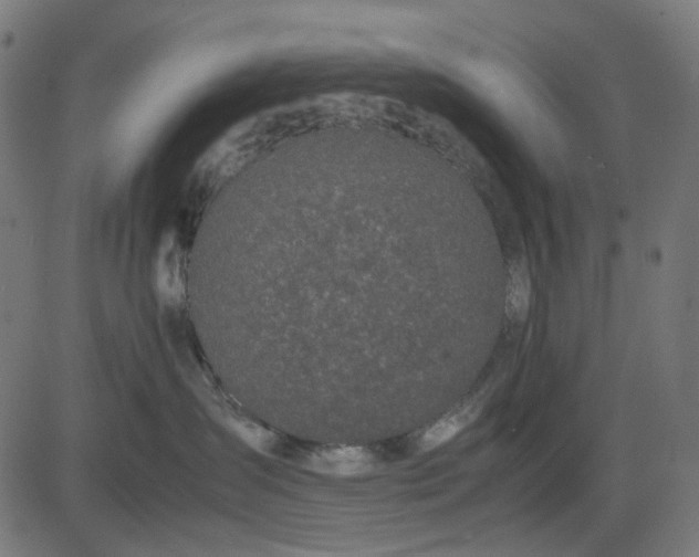 X0000082700431200702091727