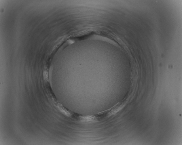 X0000082700432200702091727