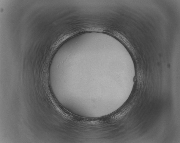 X0000082700433200702091726