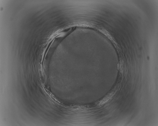 X0000082700434200702091726