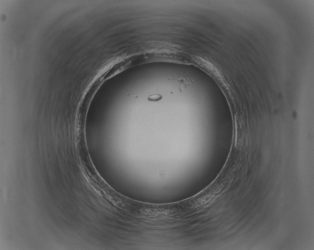 X0000082700435200702091726