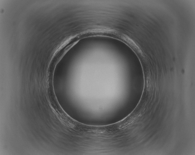 X0000082700436200702091726