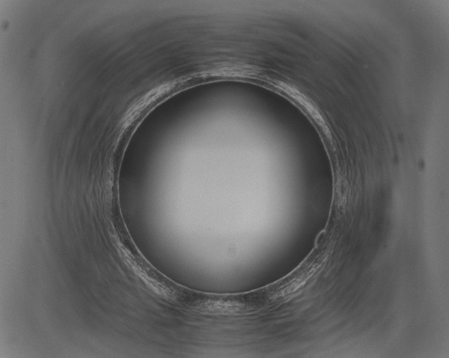 X0000082700437200702091726