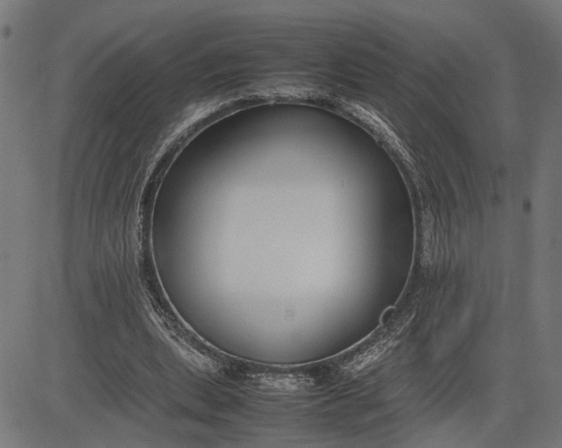 X0000082700439200702091726