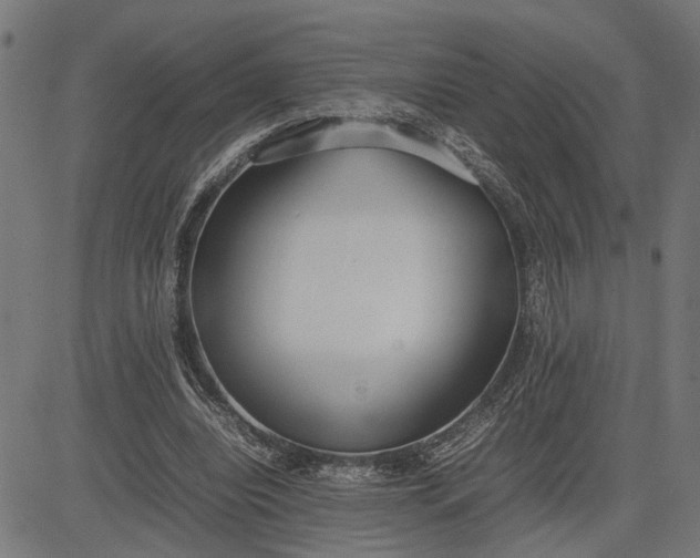 X0000082700440200702091726