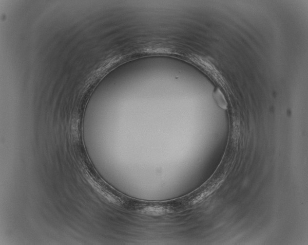 X0000082700441200702091726