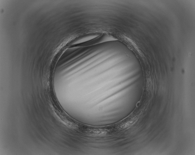 X0000082700443200702091726