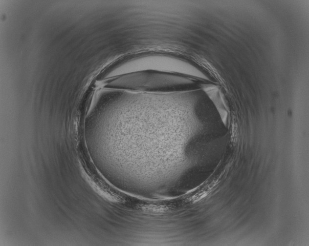 X0000082700444200702091726