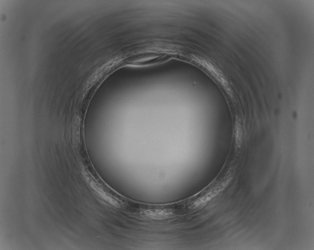 X0000082700445200702091726