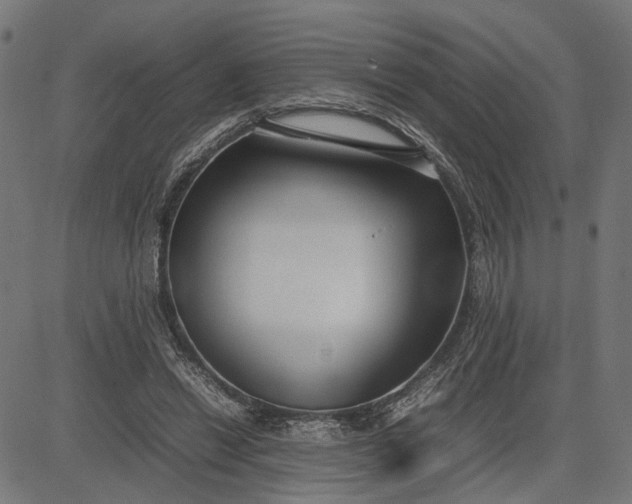 X0000082700446200702091726