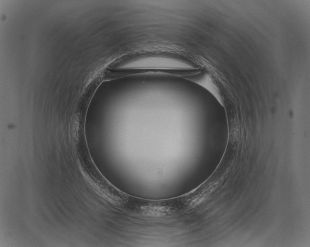 X0000082700448200702091726