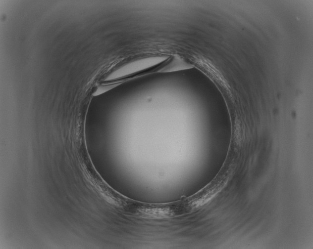 X0000082700449200702091726