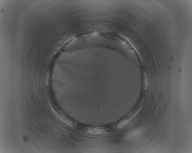 X0000082700451200702091727