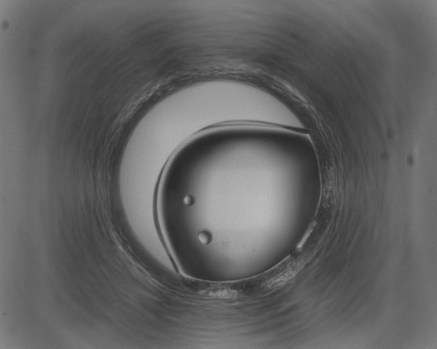 X0000082700452200702091727