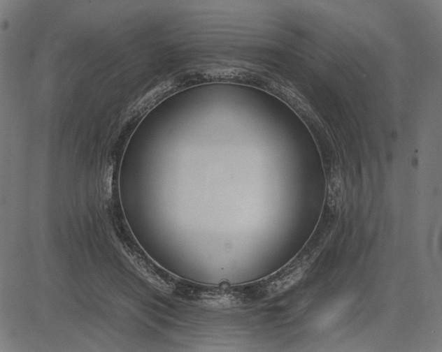 X0000082700454200702091727