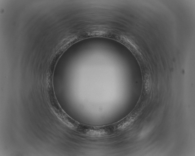 X0000082700455200702091727