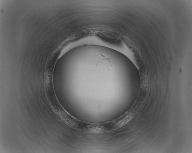 X0000082700456200702091727