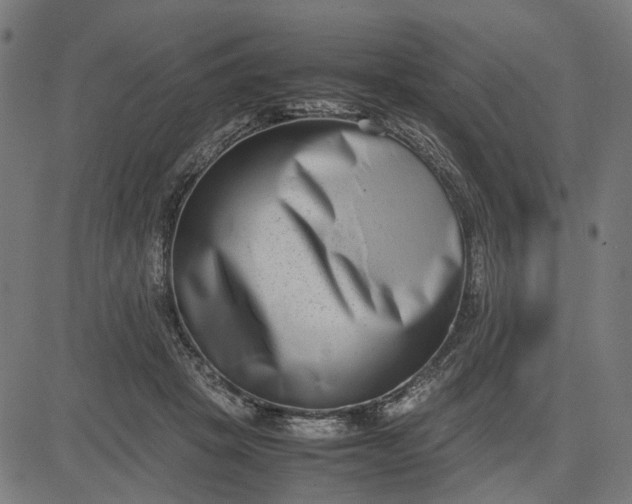 X0000082700457200702091727