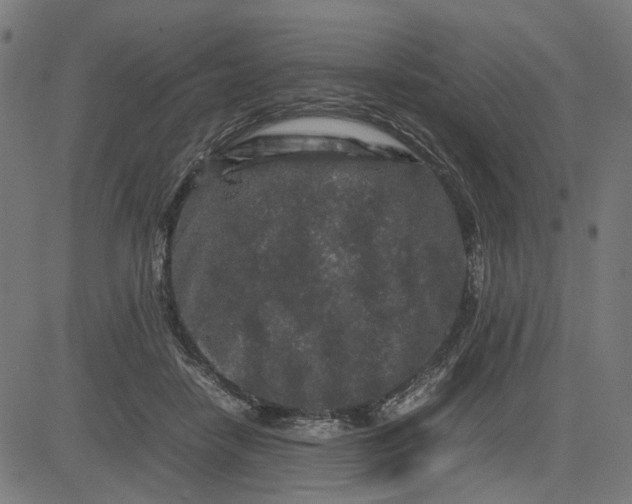 X0000082700458200702091727