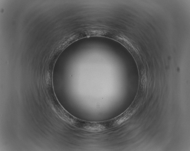 X0000082700459200702091727