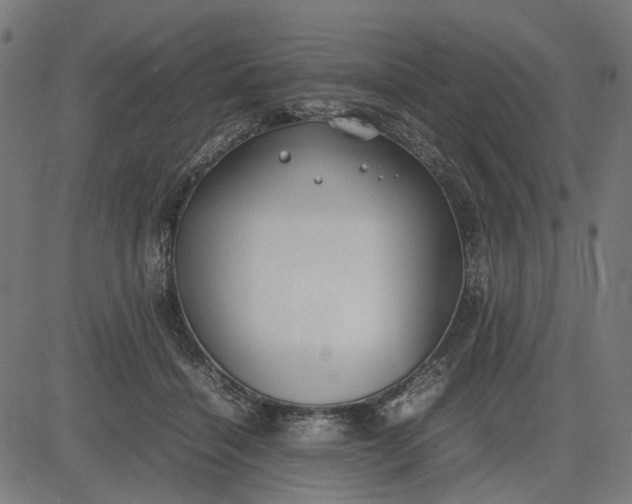 X0000082700460200702091727