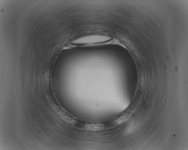 X0000082700461200702091727