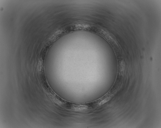 X0000082700463200702091727