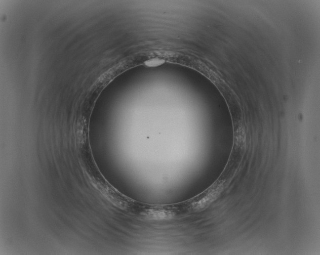 X0000082700464200702091727