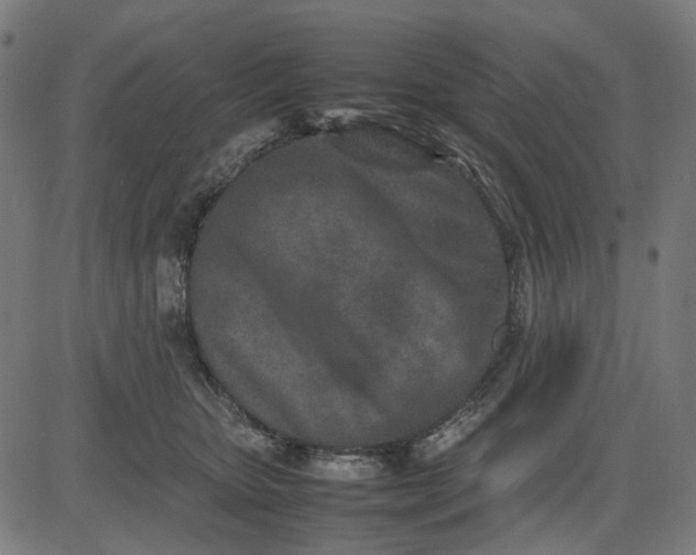 X0000082700467200702091727