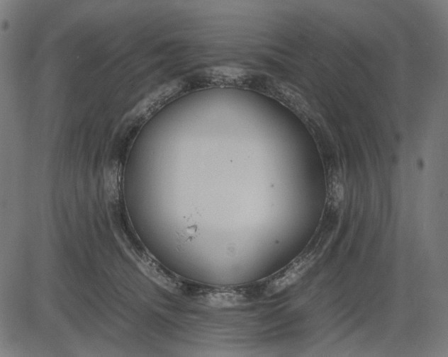 X0000082700468200702091727