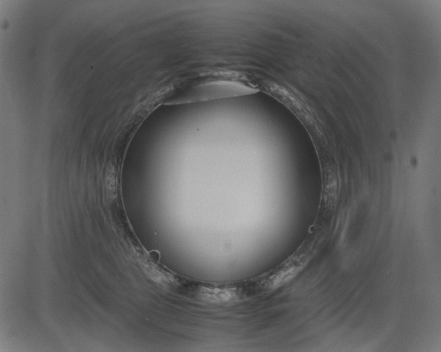 X0000082700469200702091727