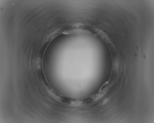 X0000082700470200702091727