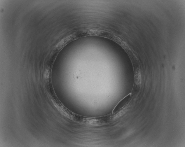 X0000082700472200702091727