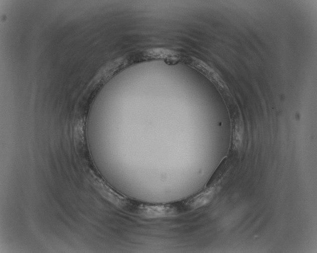 X0000082700473200702091727