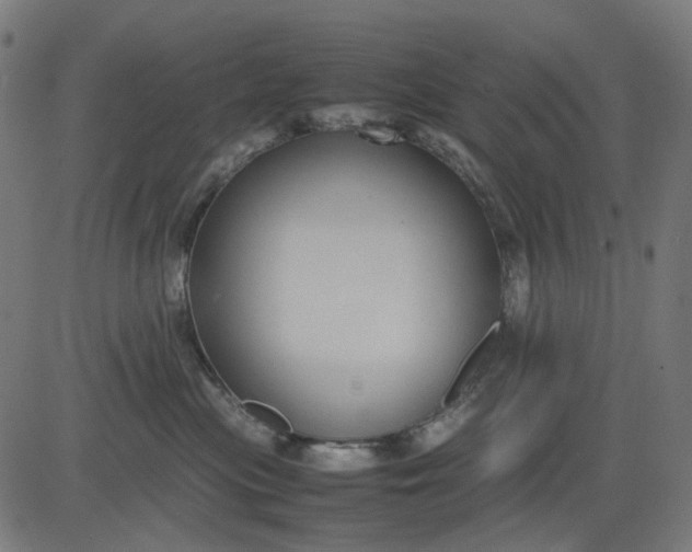 X0000082700477200702091727