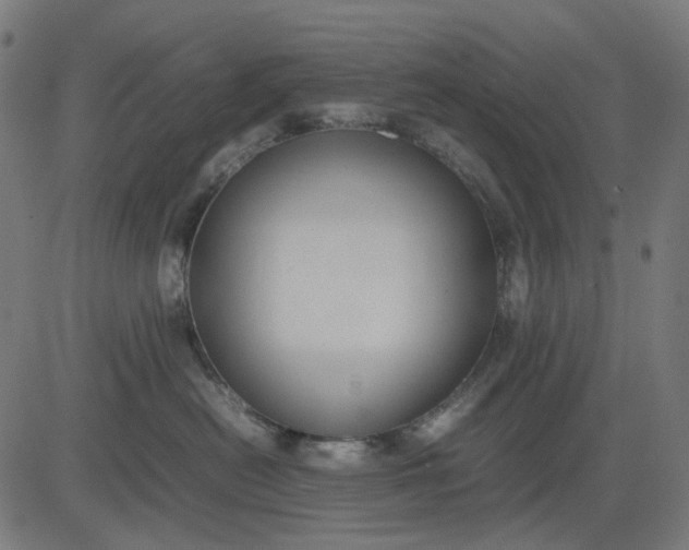 X0000082700478200702091727