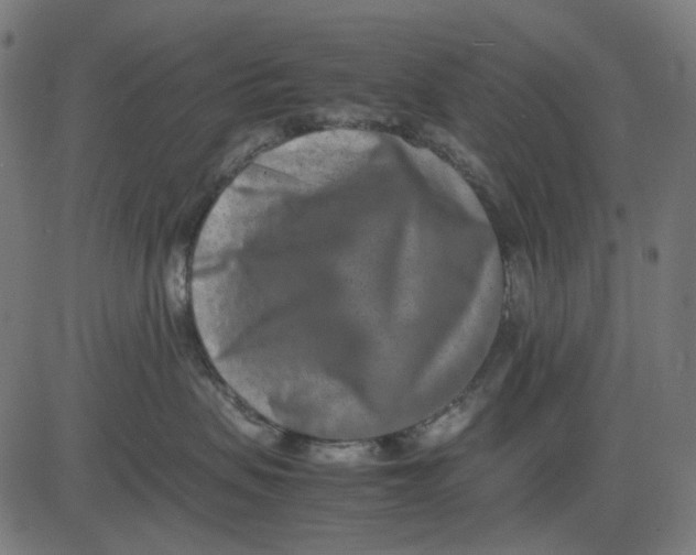 X0000082700479200702091727