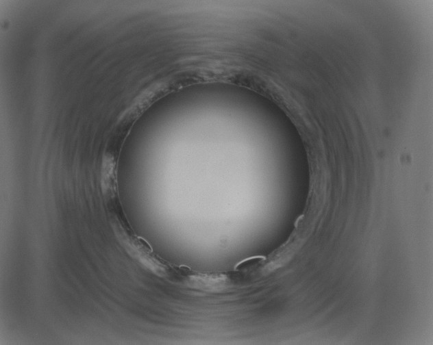 X0000082700480200702091727