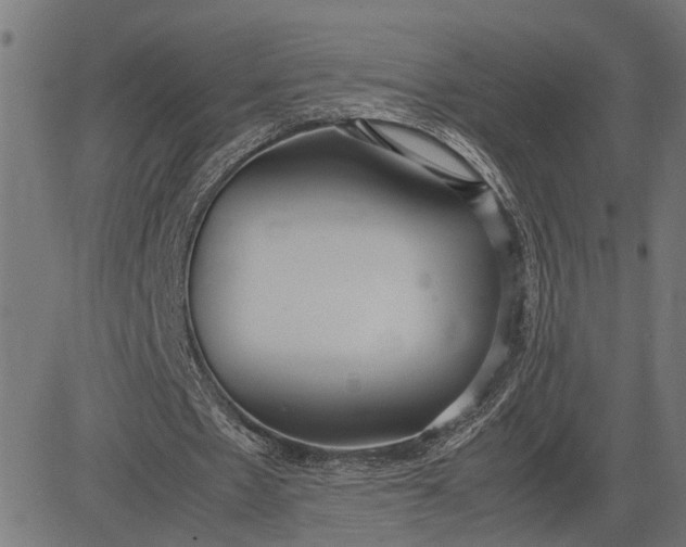 X0000082700481200702091726