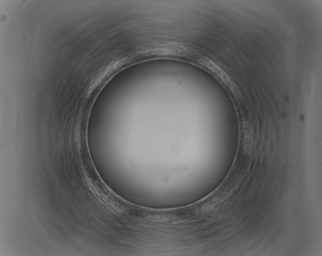 X0000082700482200702091726